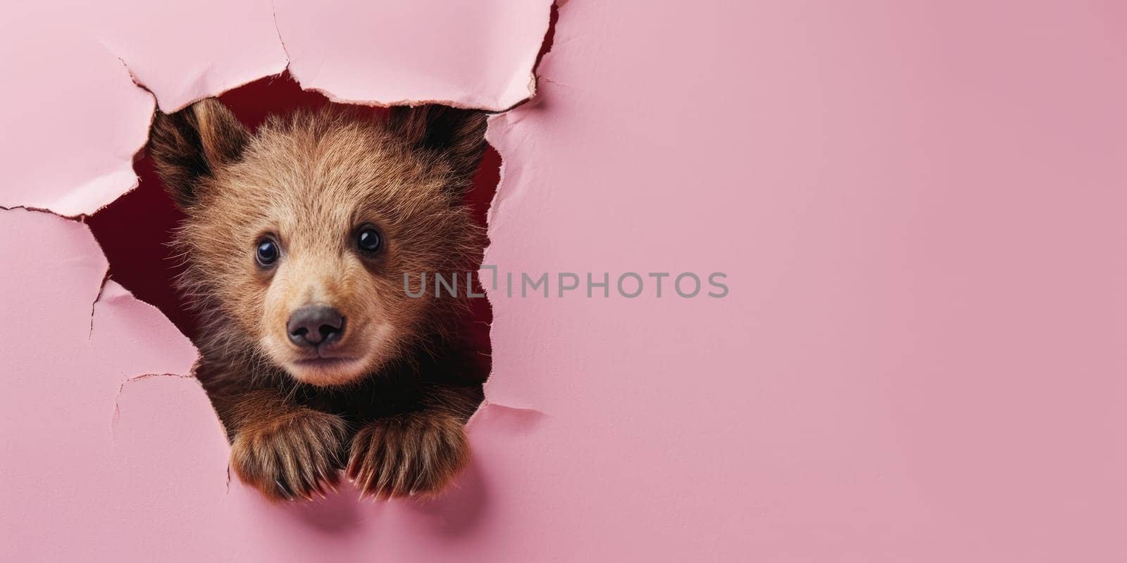 Zoom in picture of breaking pink wall and the bear in hollow pink hole. AIGX03. by biancoblue