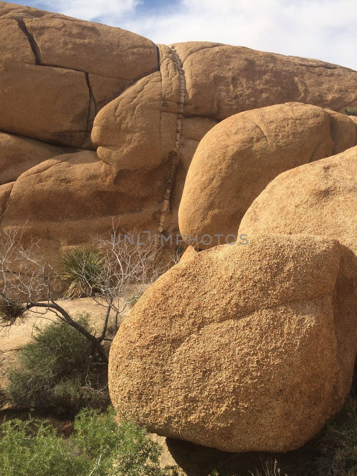 Boulders Landscape in Joshua Tree National Park, California . High quality photo