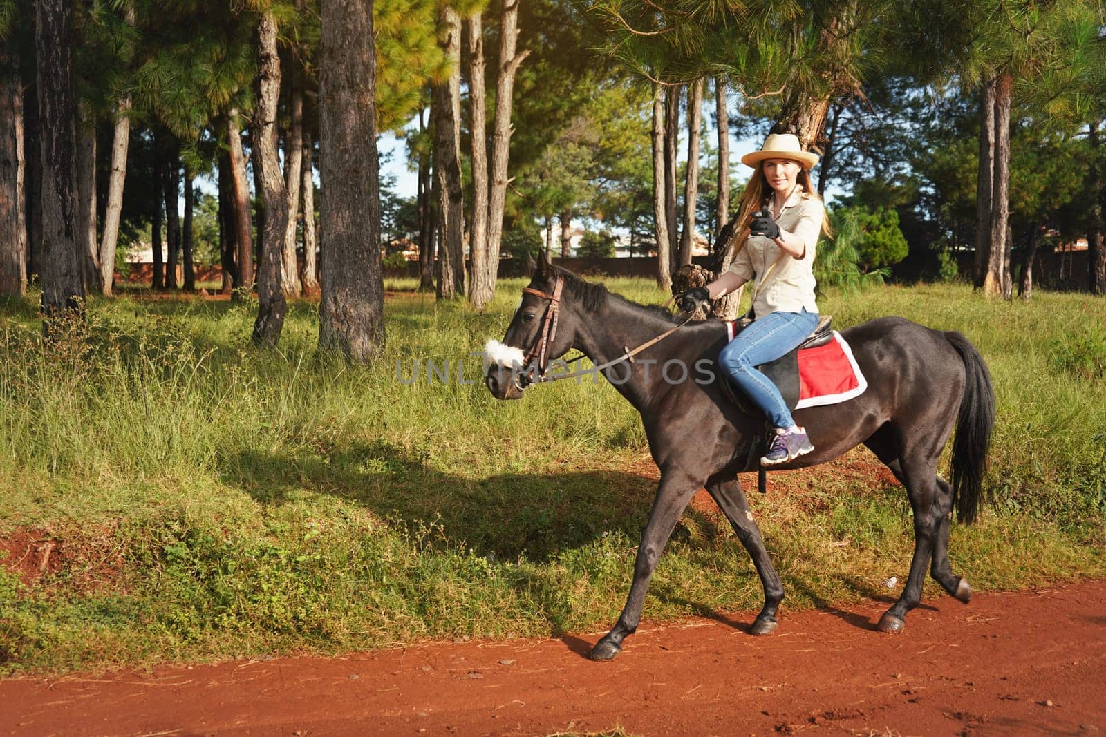 Young woman in shirt and straw hat, riding dark brown horse in the park, blurred background with houses and trees