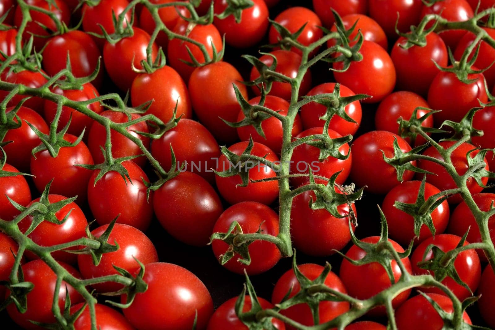 Group of small tomatoes with green stems, view from above