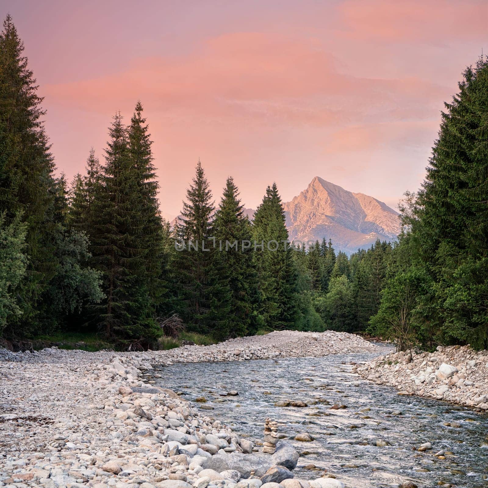 Forest river flowing, coniferous trees on both sides, mount Krivan peak (Slovak symbol) with pink / red clouds above in distance