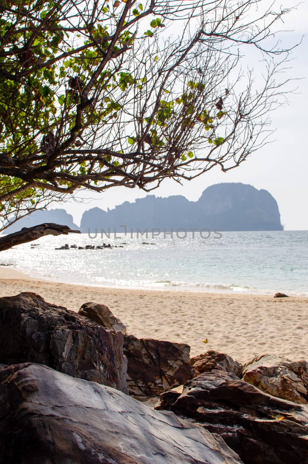 Rocks and stone beach. Thailand nature landscape