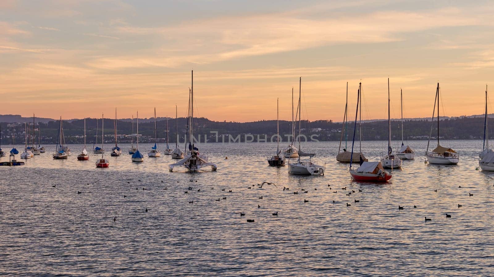 Bodensee Lake Sunrise Panorama. Morning Sunlight Over Tranquil Waters. Witness the mesmerizing dawn over Germany's Bodensee Lake, captured from a boat dock. Embrace the tranquil beauty of the early morning as the sun rises, casting a soft glow on the landscape. The peaceful scene features boats, yachts, and a charming water shack set against a backdrop of a captivating sky. Clouds delicately reflect on the calm water, creating a serene atmosphere. Immerse yourself in the serene beauty of a lakeside sunrise. Explore the harmony of nature, technology, and production as the day unfolds by the lake.