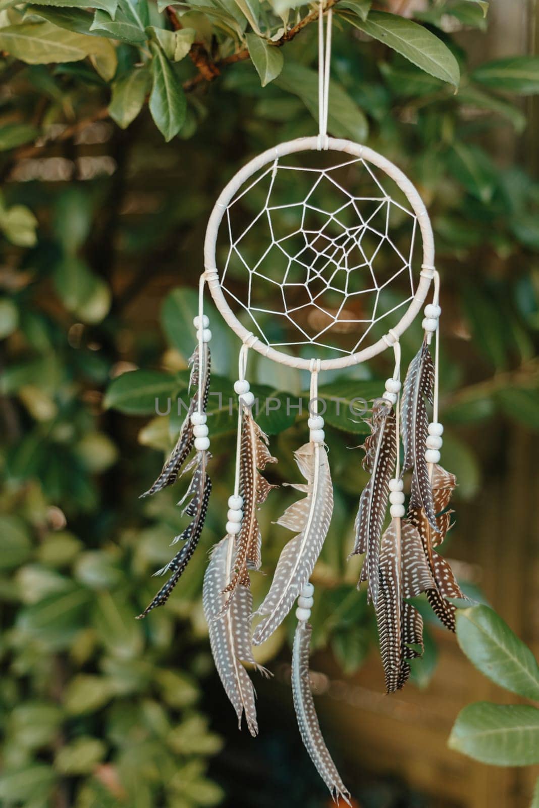 dream catcher with beautifu background. boho chic, ethnic amulet. (Vintage style) by Andrii_Ko