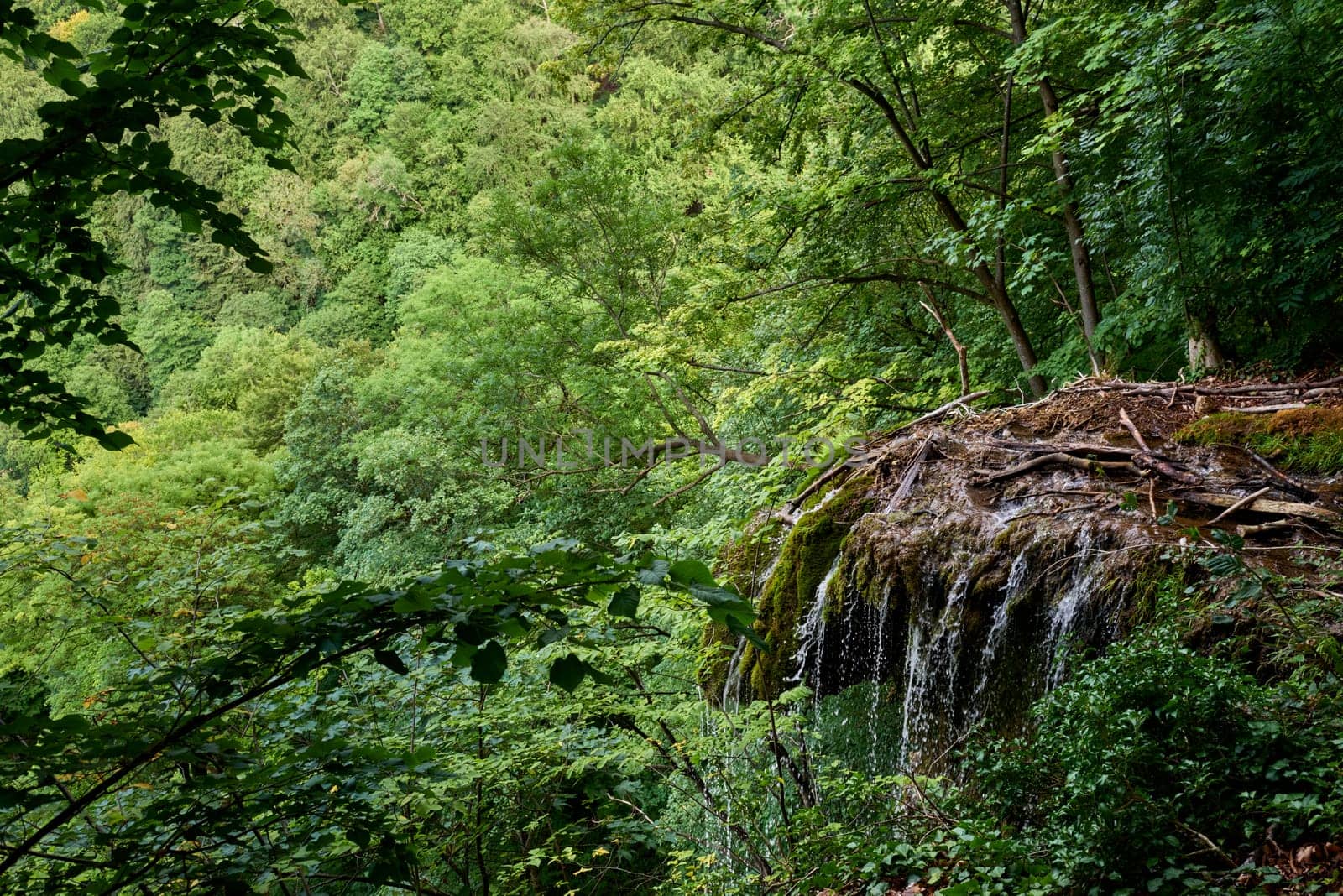 Tranquil Summit Panorama: Majestic Waterfall View amidst Black Forest Scenery in Germany. Riverside Cabin Retreat: Tranquil Hideaway in Germany's Scwarzwald amid Lush Greenery. Mountain River Serenity: Tranquil Escape amidst Scenic Black Forest Landscape in Germany