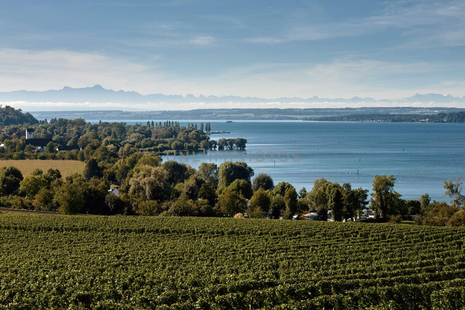 Bodensee Panorama: Alps on the Horizon, Vineyards, and Pastoral Beauty. Alpine Horizon: Bodensee, Vineyards, and Quaint Villages in the German Countryside. Vineyard Vistas: Bodensee, Alpine Peaks, and the Rural Charm of German Agriculture. Rural Tranquility: Bodensee Overlooking Pastures, Vineyards, and Traditional Villages by Andrii_Ko