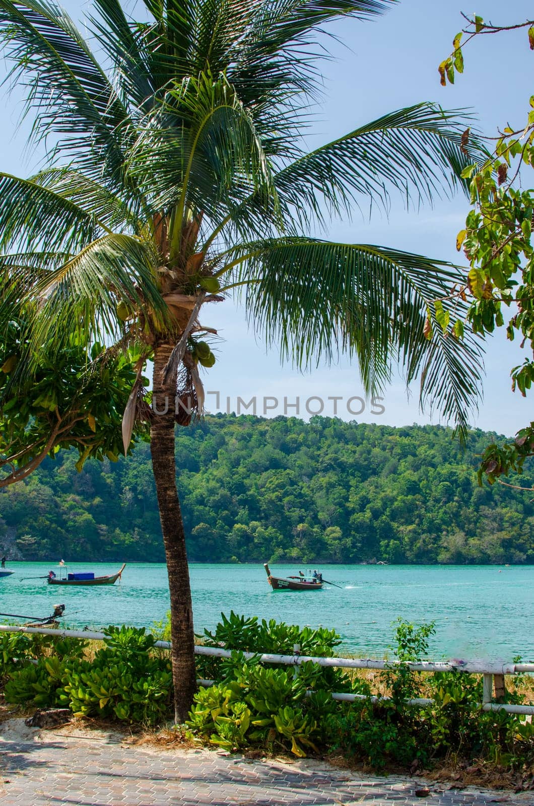 Beautiful photo of palm trees and sea view.