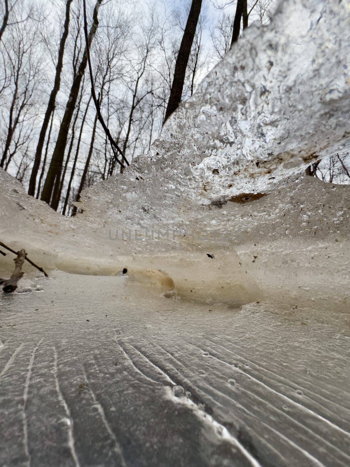 thin transparent ice on a puddle in the park on a winter day, foliage through the ice. High quality photo