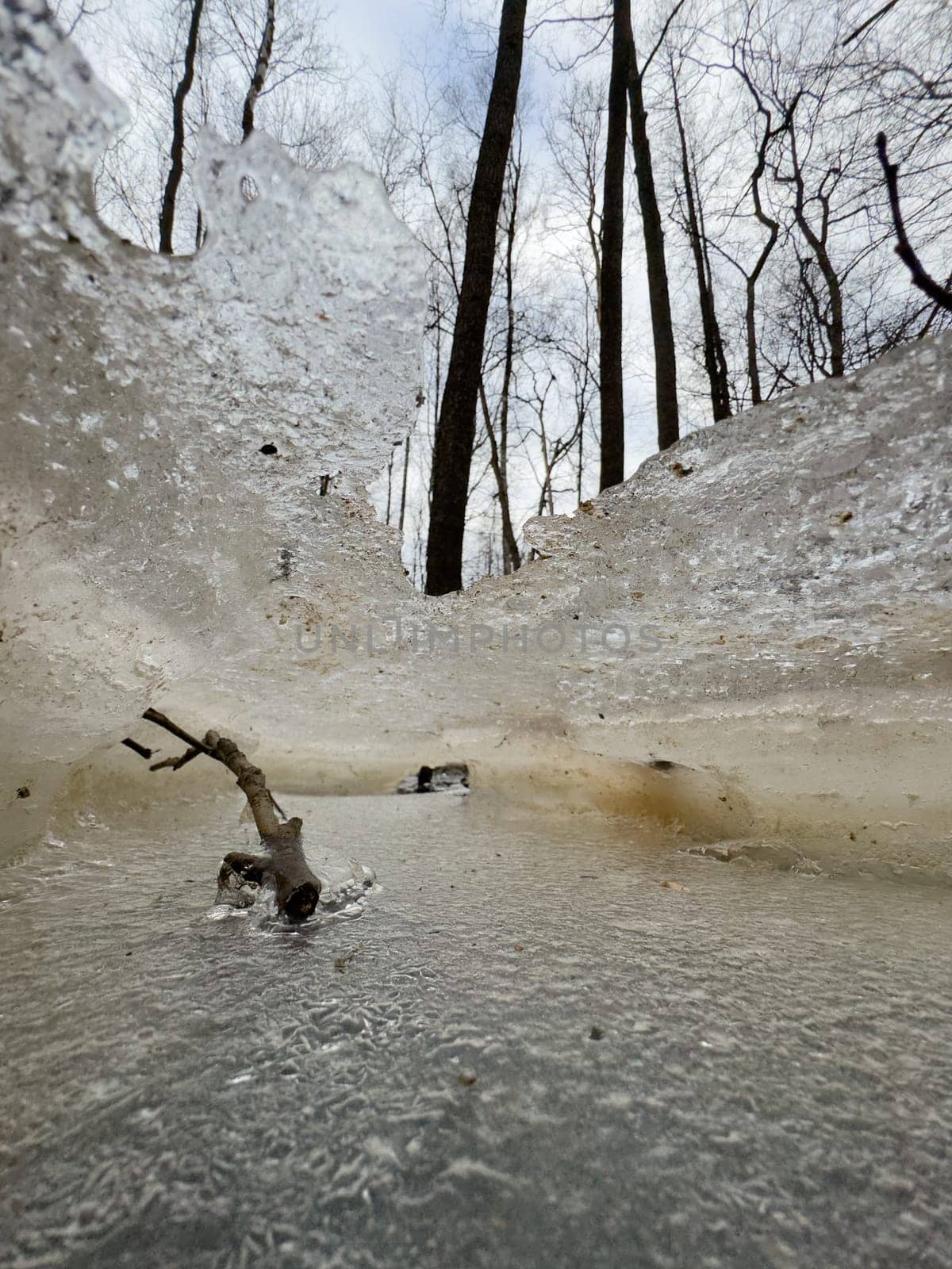 thin transparent ice on a puddle in the park on a winter day, foliage through the ice by vladimirdrozdin