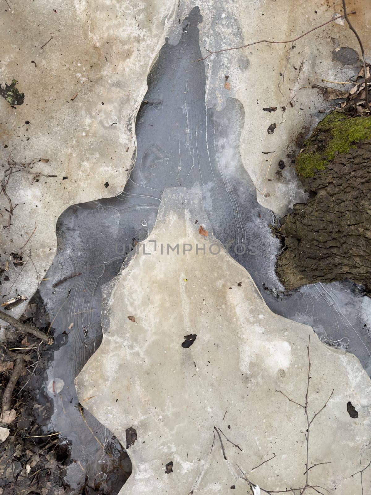 thin transparent ice on a puddle in the park on a winter day, foliage through the ice. High quality photo