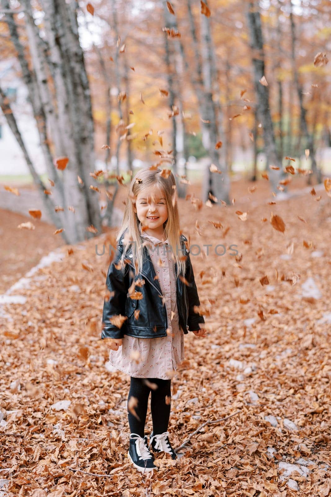 Little girl stands under falling dry leaves in the autumn forest. High quality photo