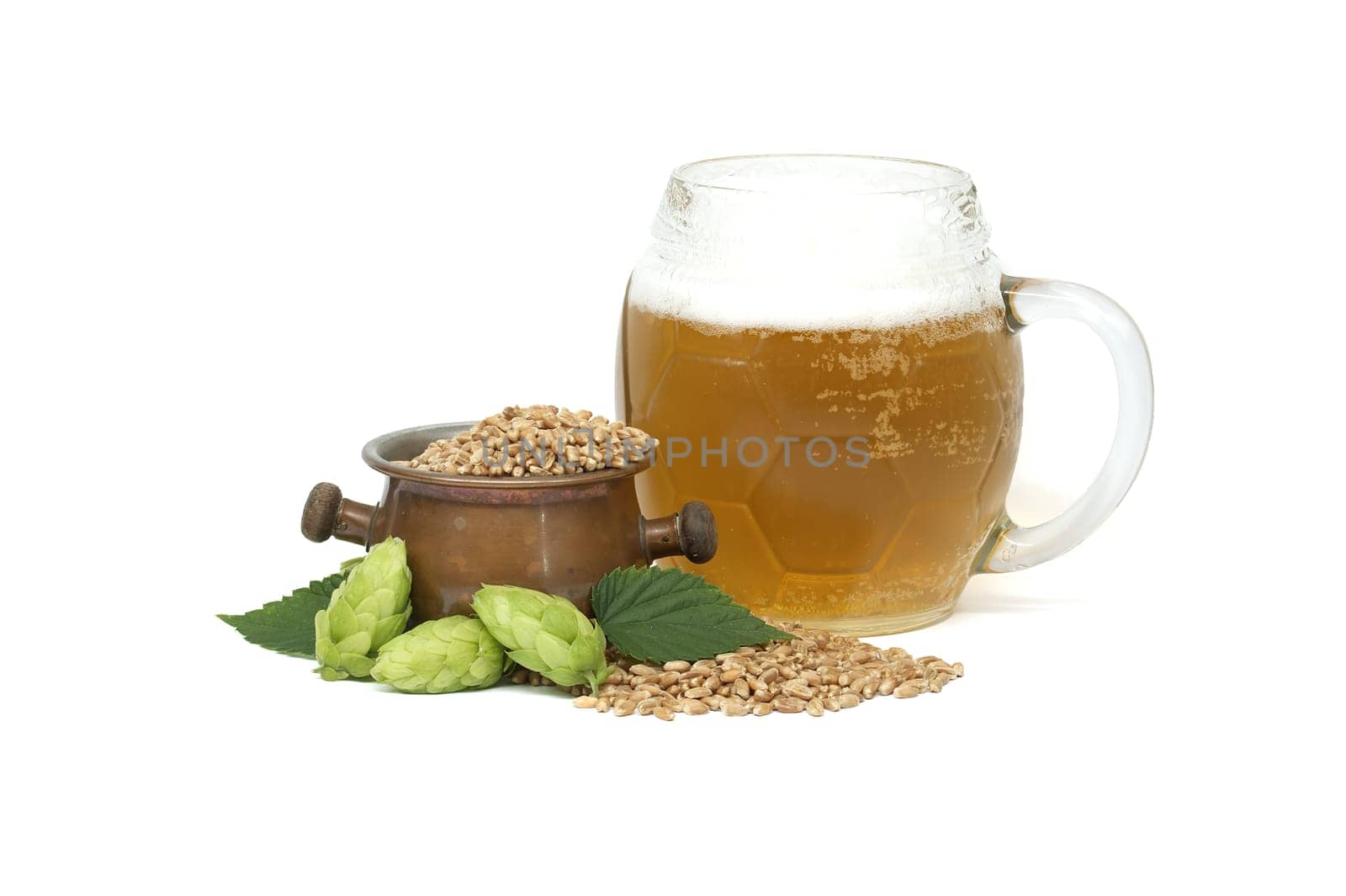Fresh green hops cones and bucket filled with grains near glass mug filled with a beer isolated on white background, beer brewing ingredients