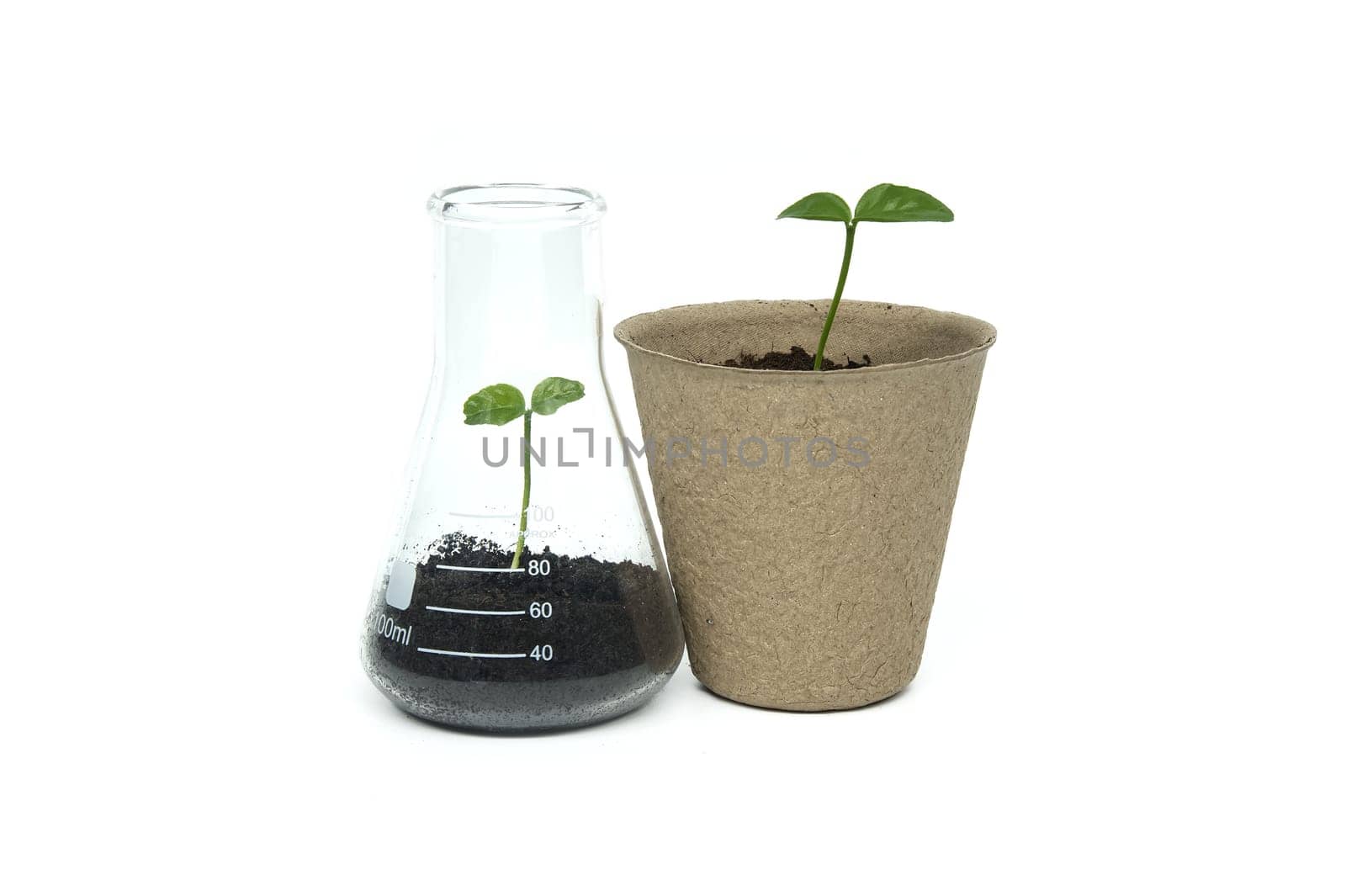 Green seedling sprouting from biodegradable pot near conical glass flask filled with soil and green plant, isolated on white background