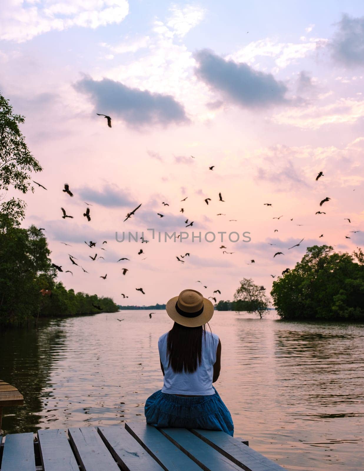 Sea Eagles at sunset in the mangrove of Chantaburi in Thailand, Red backed sea eagle , women watching sunset on a wooden pier