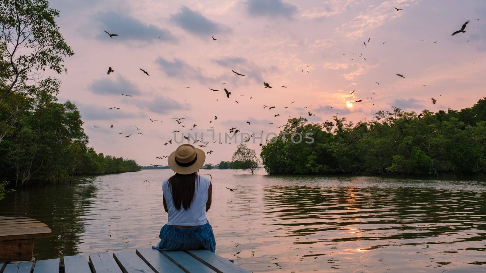 Sea Eagles at sunset in the mangrove of Chantaburi in Thailand, Red backed sea eagle , women watching sunset on a wooden pier over the mangrove forest