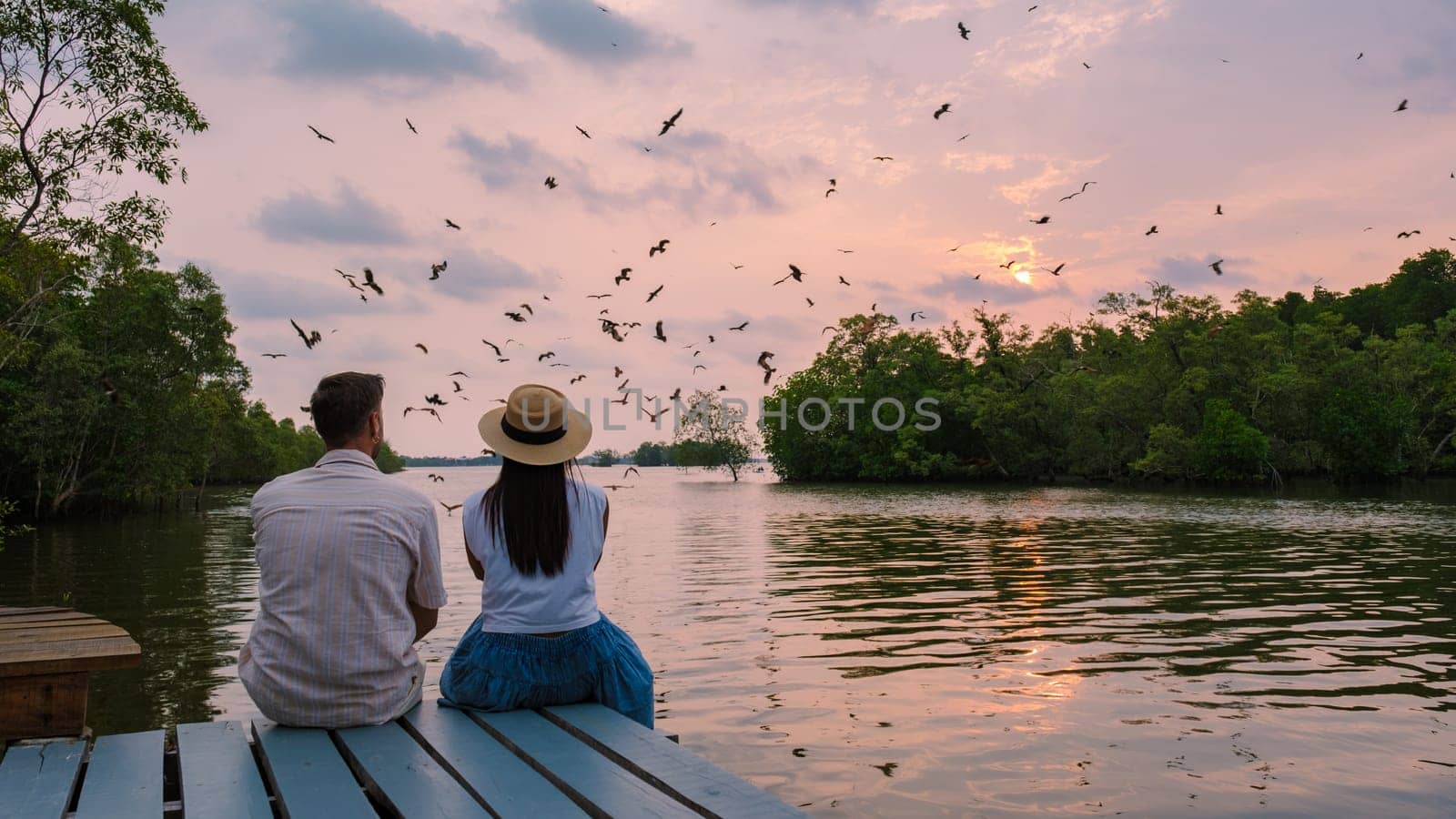 Sea Eagles at sunset in the mangrove of Chantaburi in Thailand by fokkebok