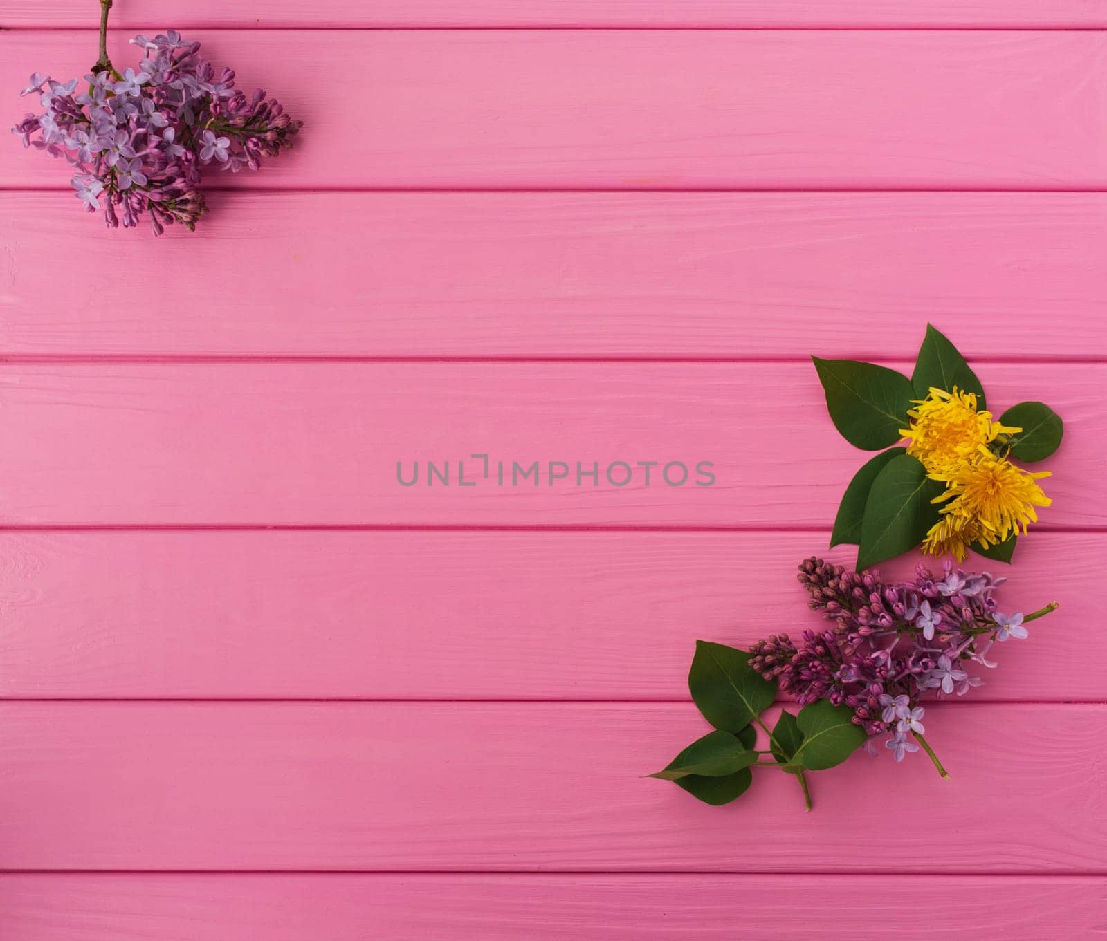 Summer abstract background mockup template free copy space for text pattern sample top view above on pink wooden board. blank empty area for inscription. in corners flowers borders frames lilac bloom