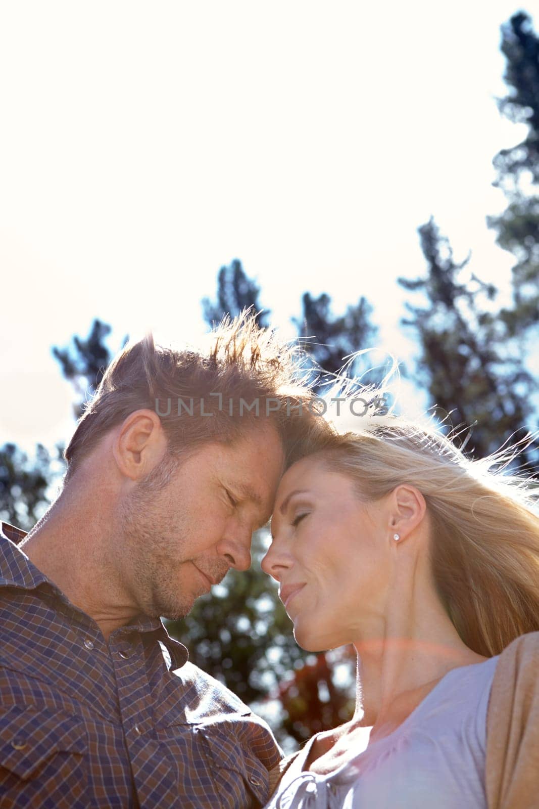 Love, embrace and couple by trees at countryside for adventure, weekend vacation and travel together. Sky, man and woman outdoors in nature for summer holiday, romance and getaway trip in low angle.