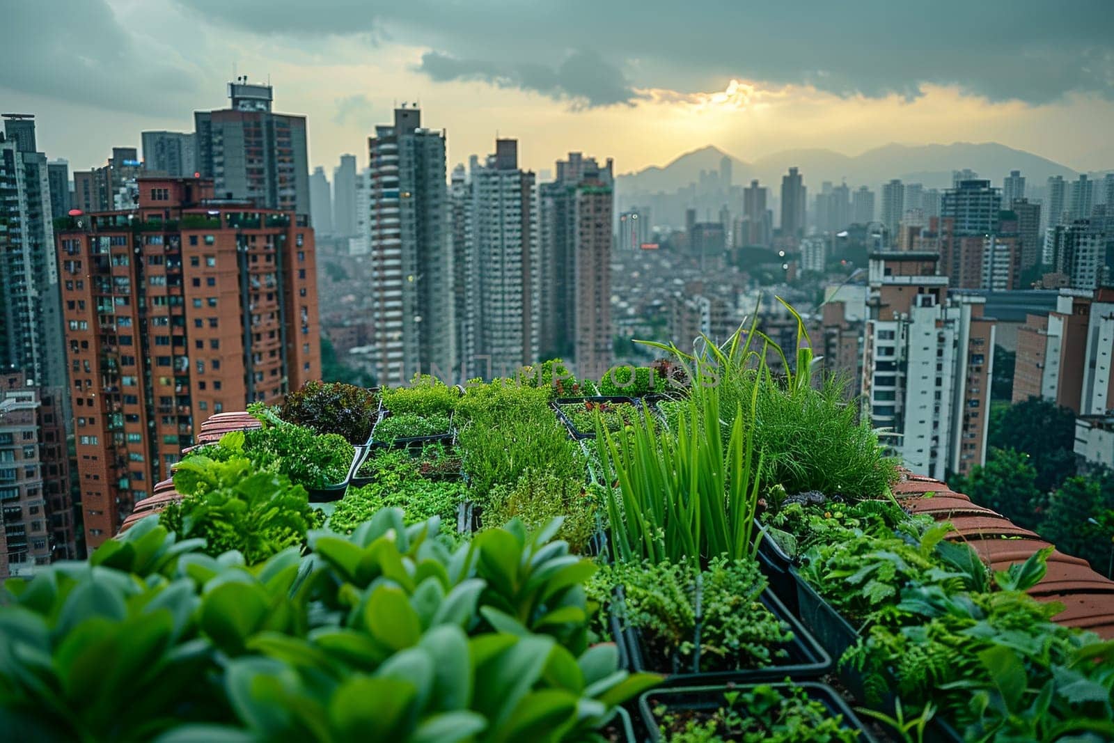 A cityscape with a rooftop garden filled with various vegetables and plants. The garden is a peaceful oasis in the midst of the bustling city