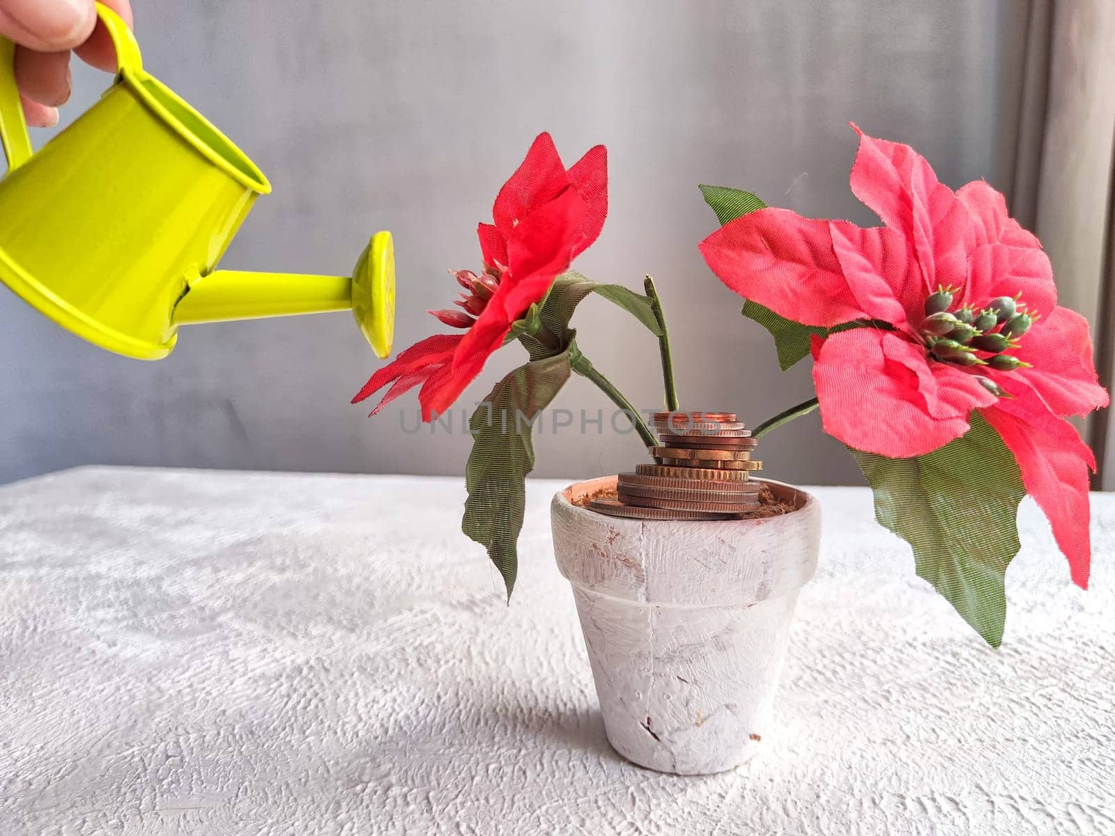 A hand holds a small watering can, tilting it towards a blooming red flower growing out of a pot filled with stacked coins, suggesting the nurturing of financial growth or investment