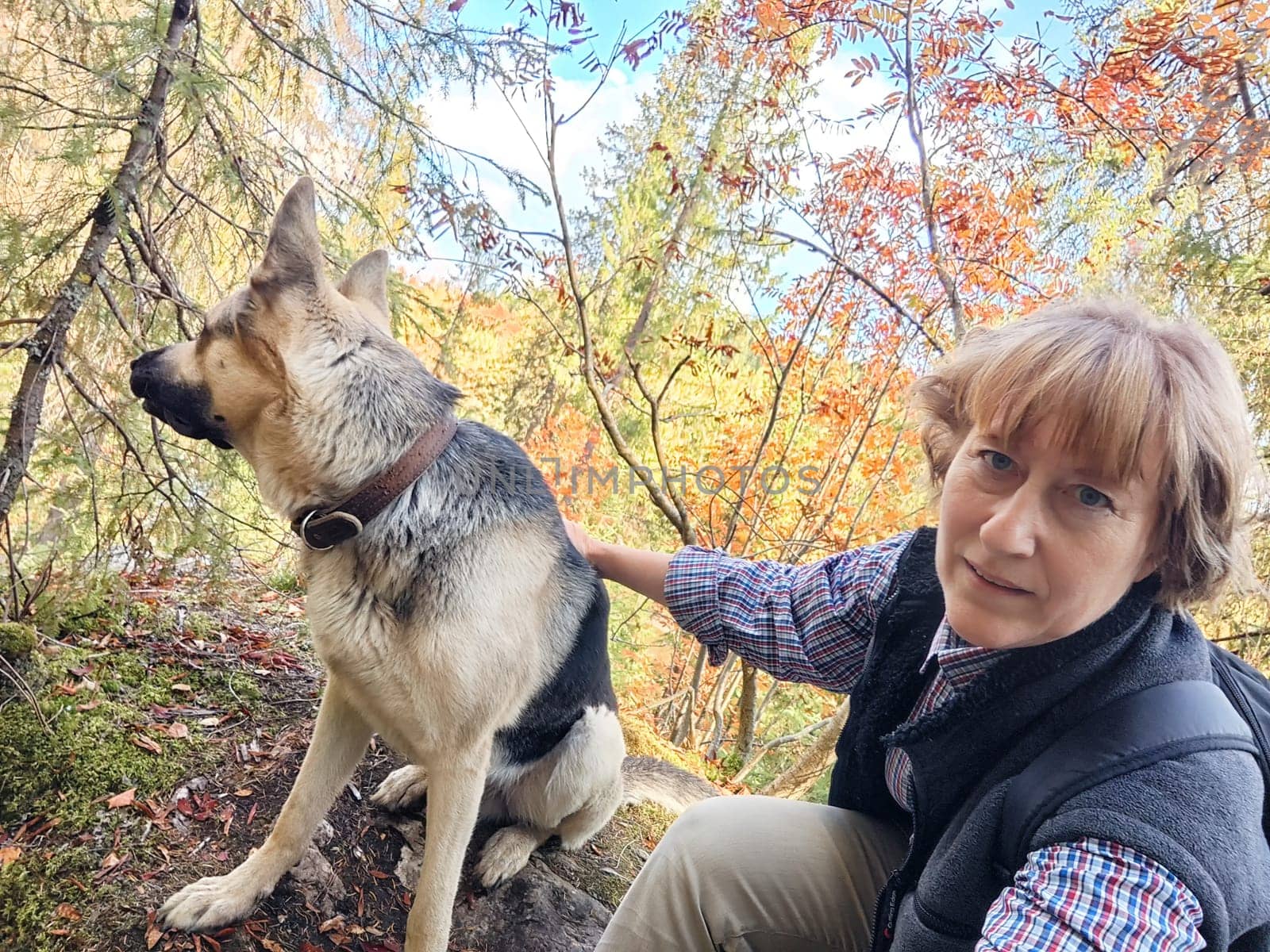 Adult girl with shepherd dog taking selfies in forest. Middle aged woman and big shepherd dog on nature. Friendship, love, communication, fun, hugs