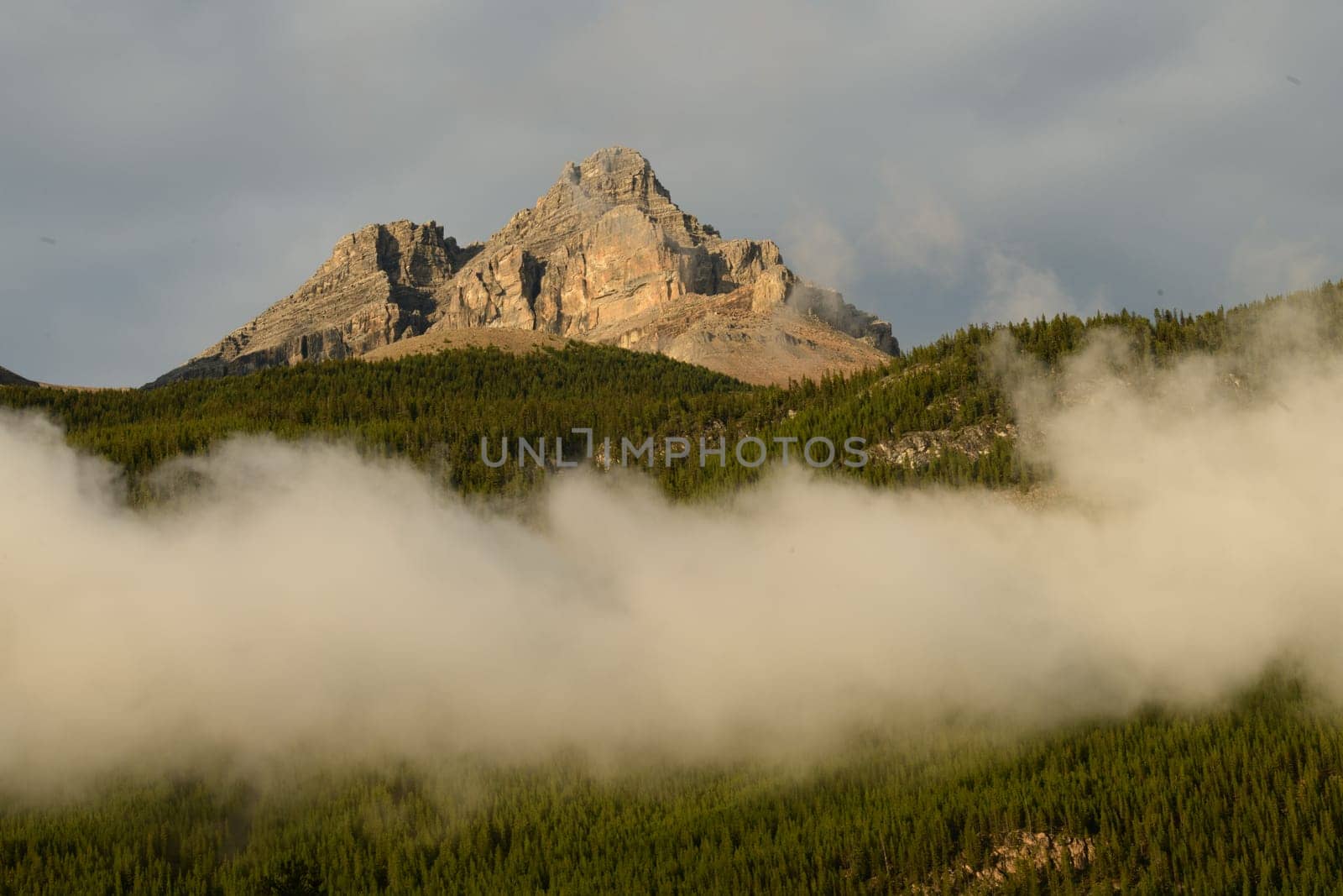 Peaks in Mountain Mist Silverhorn by lisaldw