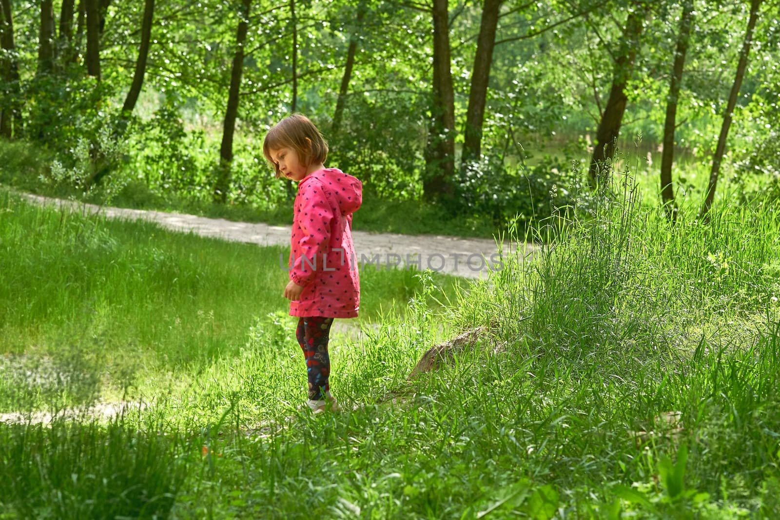 Serious curious cute dreaming girl child walks among the trees in forest park by jovani68