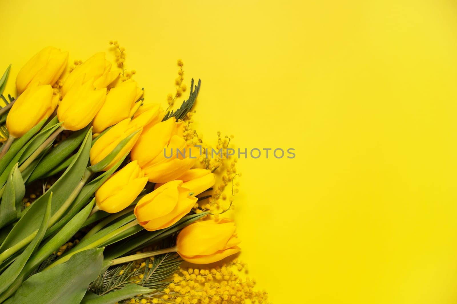 Bouquet of yellow tulips on a yellow background, top view of a floral banner,