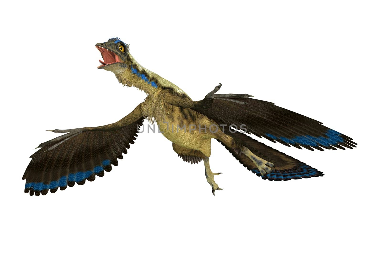 Archaeopteryx Avian Dinosaur by Catmando