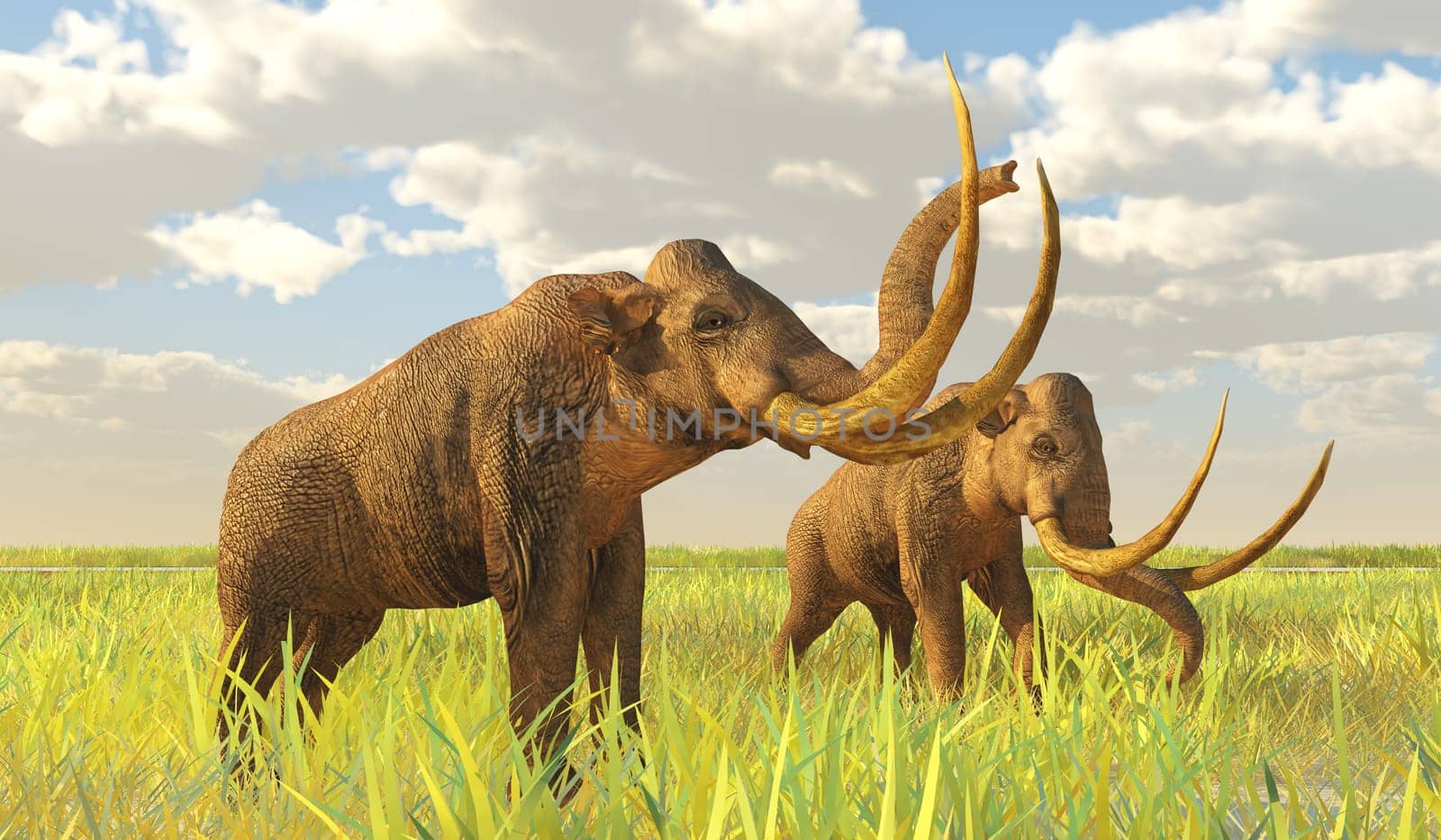 Columbian Mammoth on Grassy Plain by Catmando