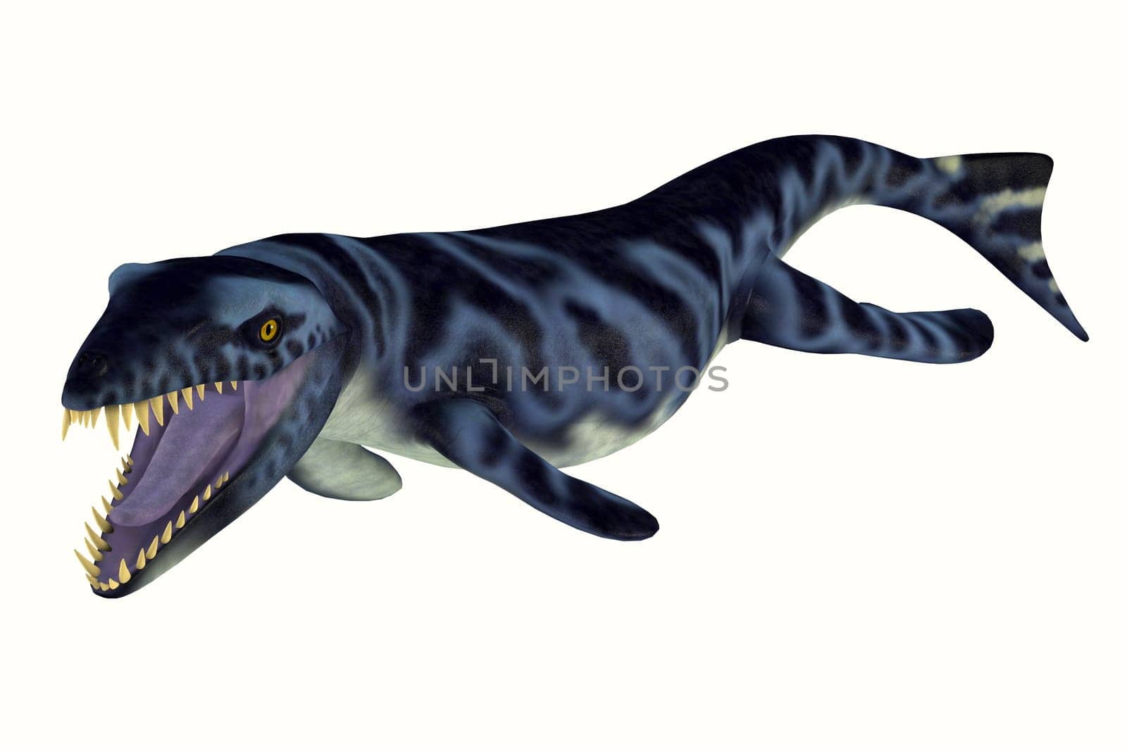 Dakosaurus Ferocious Reptile by Catmando