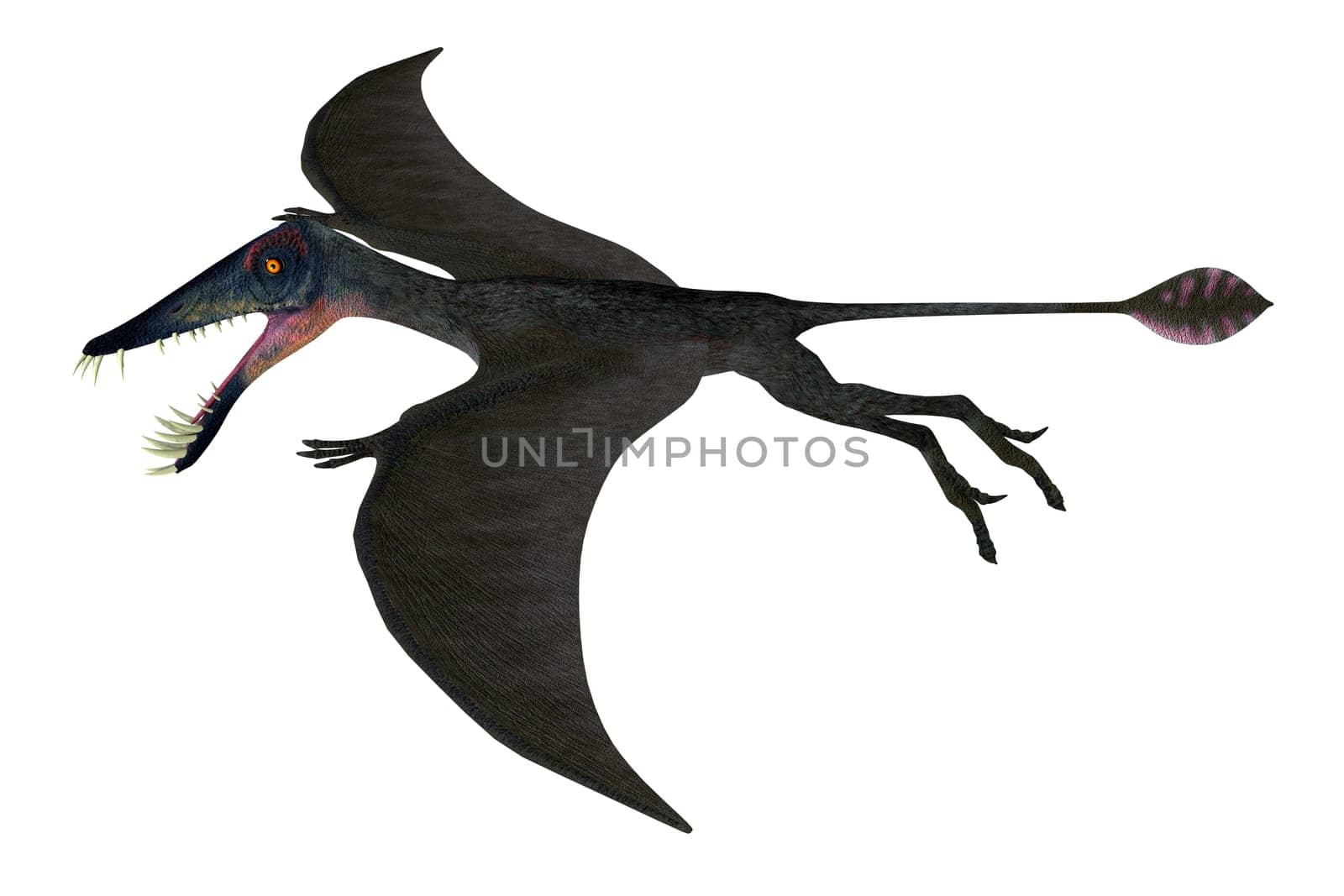 Dorygnathus Pterosaur Wings by Catmando