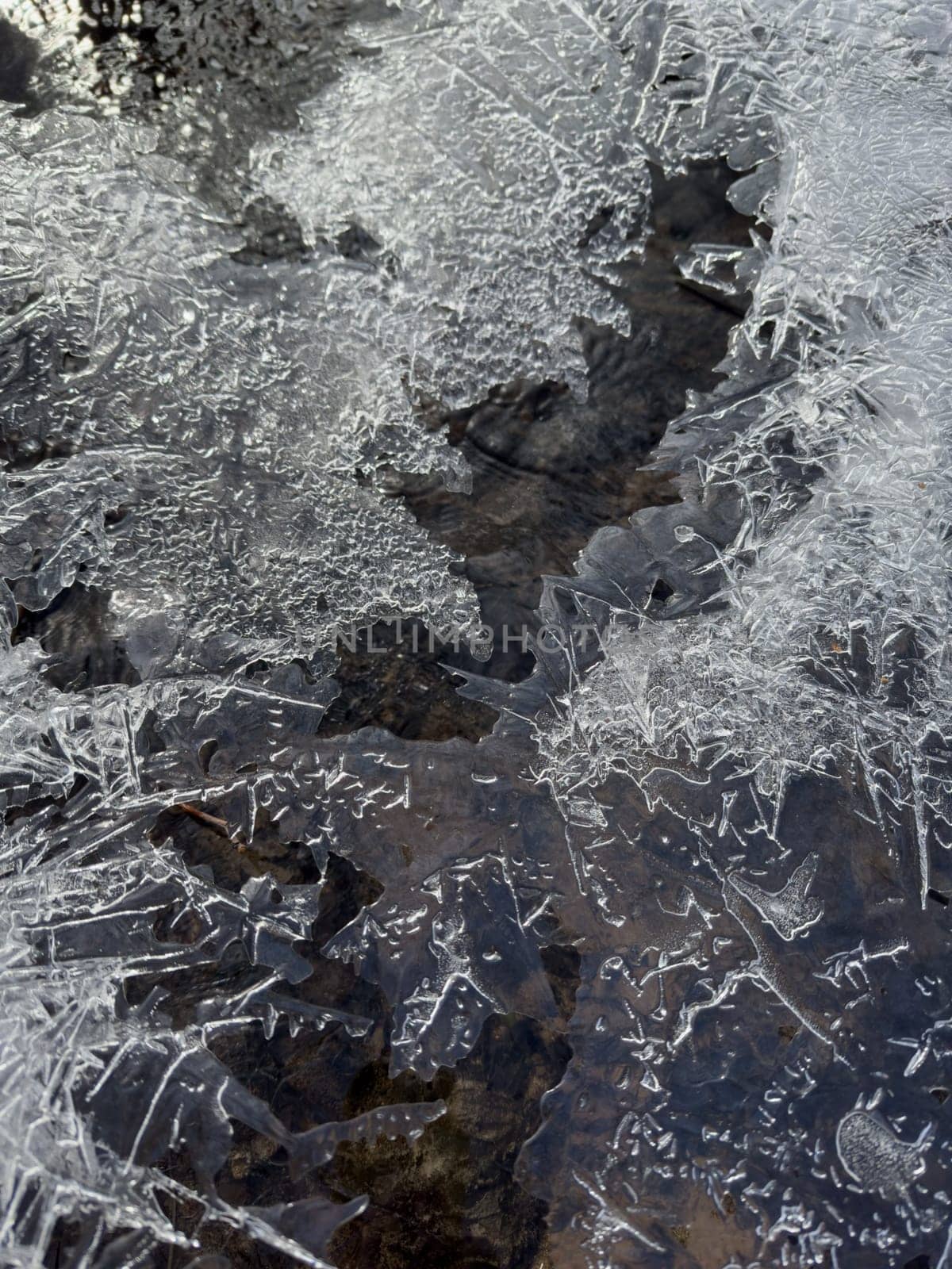 thin transparent ice on a puddle in the park on a spring day, foliage through the ice, dry grass through ice. High quality photo