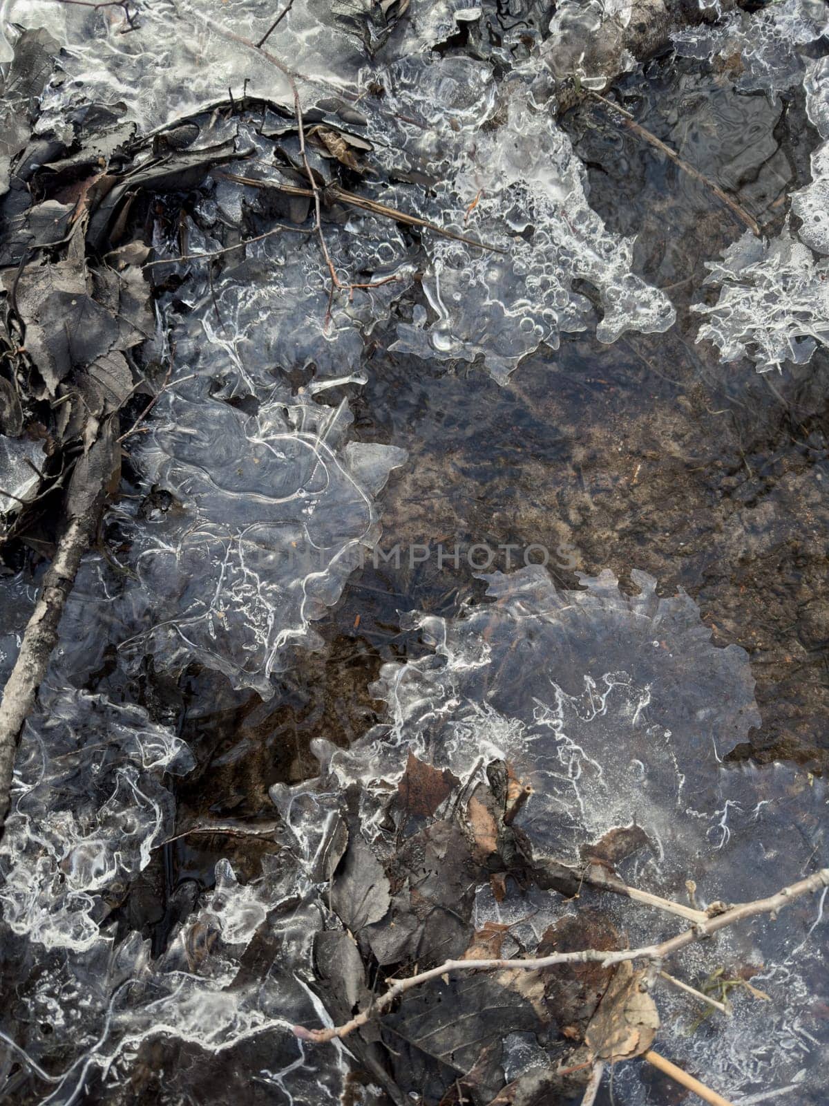 thin transparent ice on a puddle in the park on a spring day, foliage through the ice, dry grass through ice. High quality photo