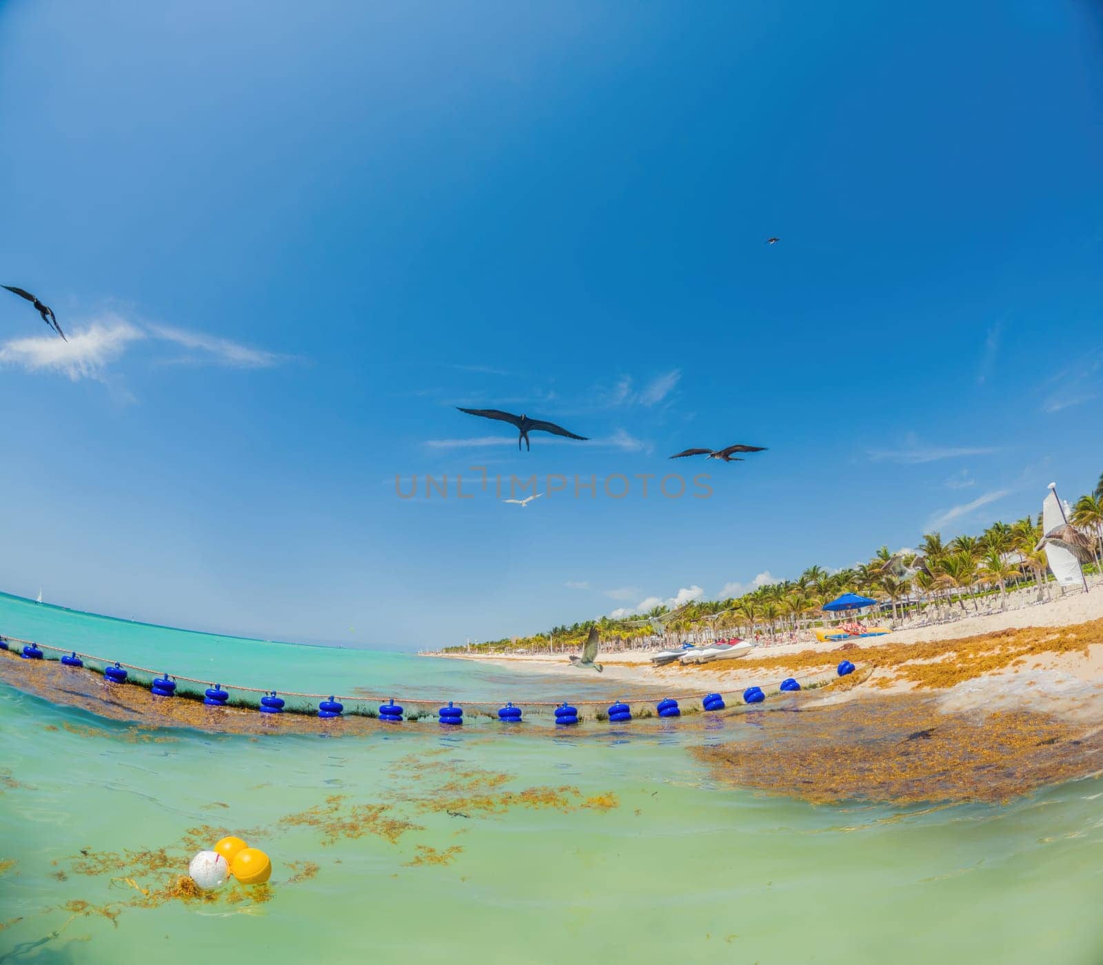 Playa del Carmen Quintana Roo Mexico 01. June 2021 beautiful Caribbean beach totally filthy and dirty the nasty seaweed sargazo problem in Playa del Carmen Quintana Roo Mexico.