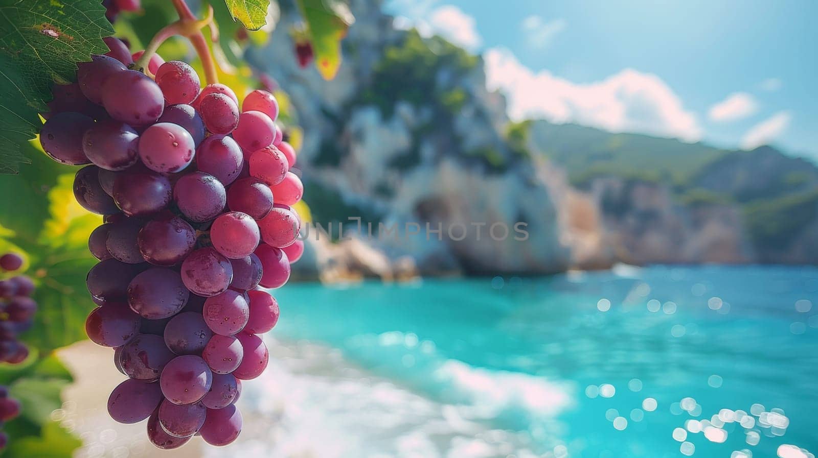 A bunch of grapes on the background of a sunny sea. Ripe grapes.