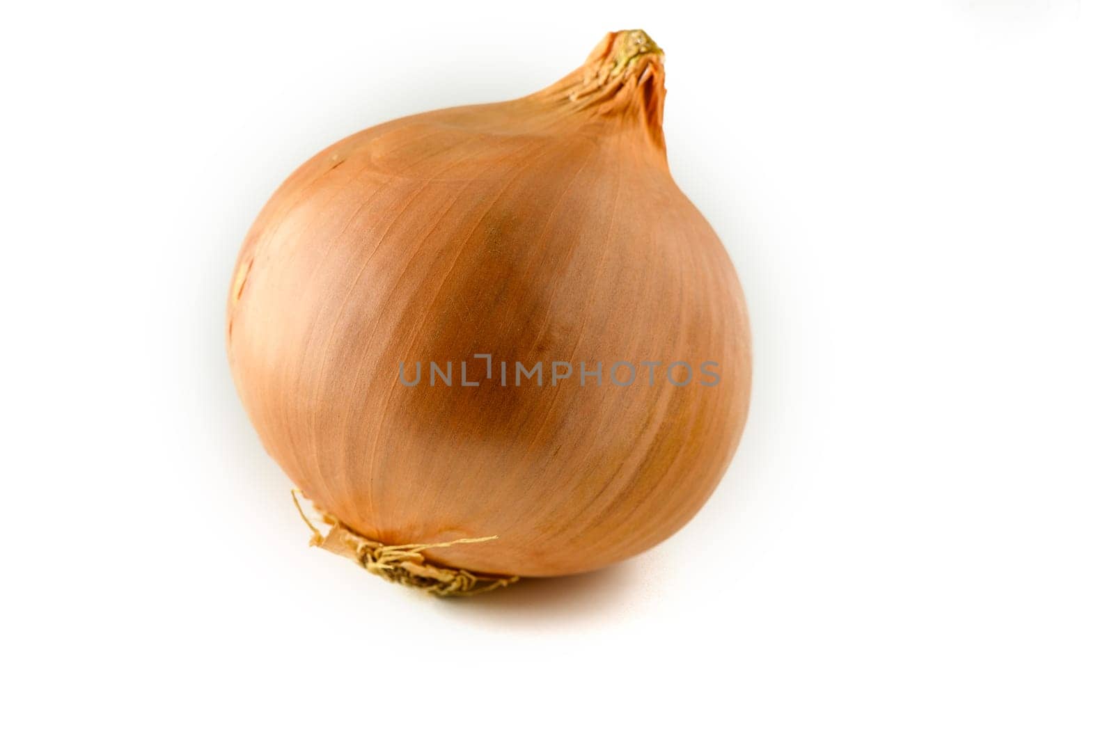 onion on white background for food delivery website 2