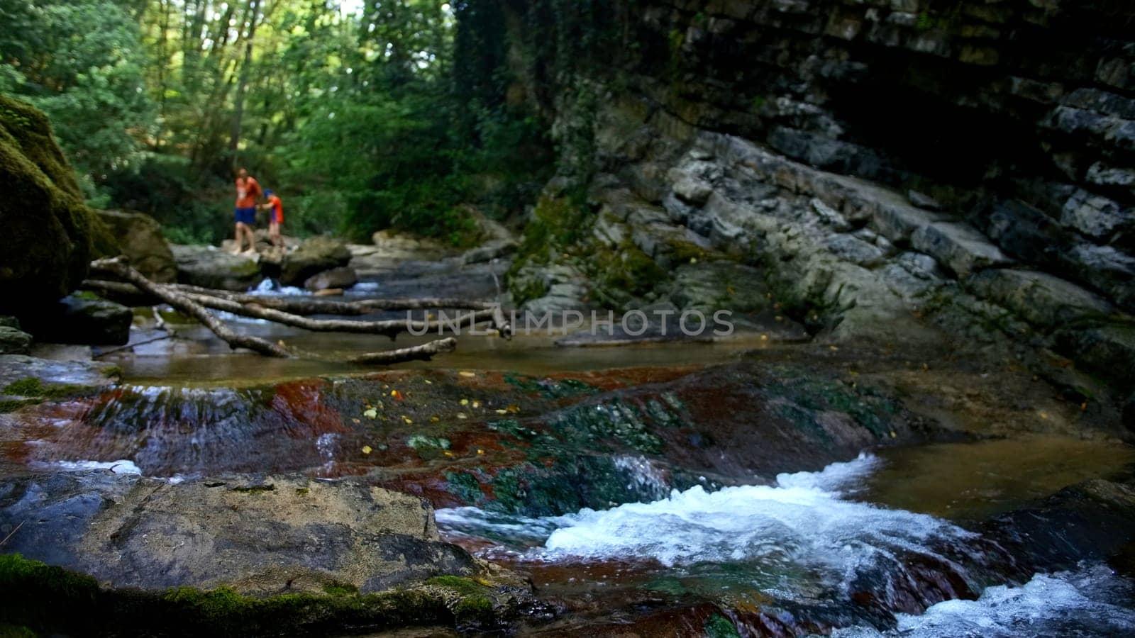 Beautiful summer creek and green jungles. Creative. Cold water stream and people on the background. by Mediawhalestock