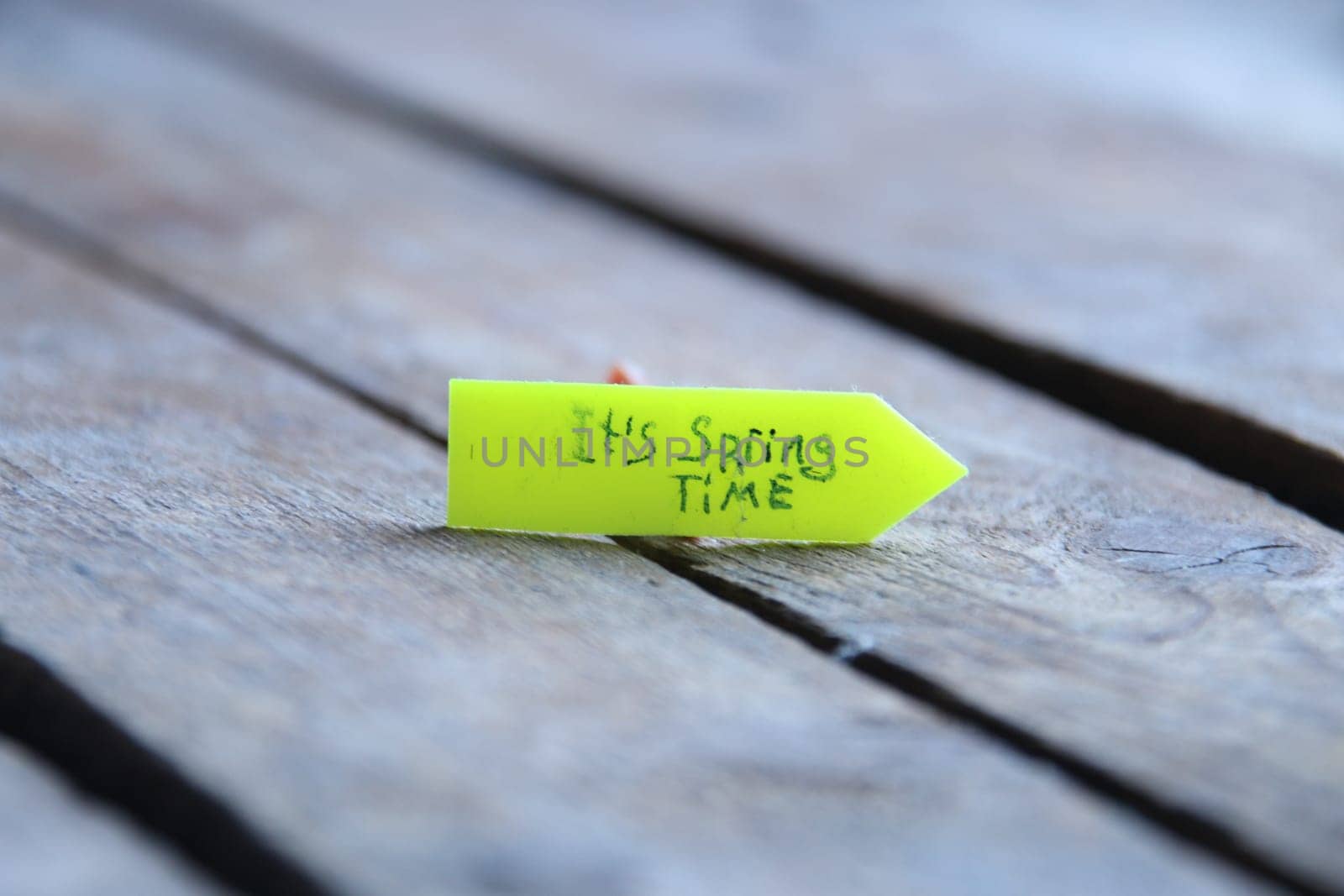 Tag Its spring time. Hand-lettering tag. by Markgraf