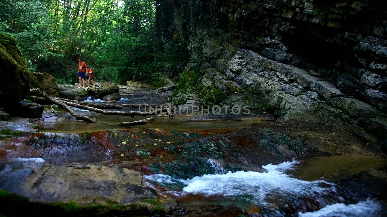 Beautiful summer creek and green jungles. Creative. Cold water stream and people on the background