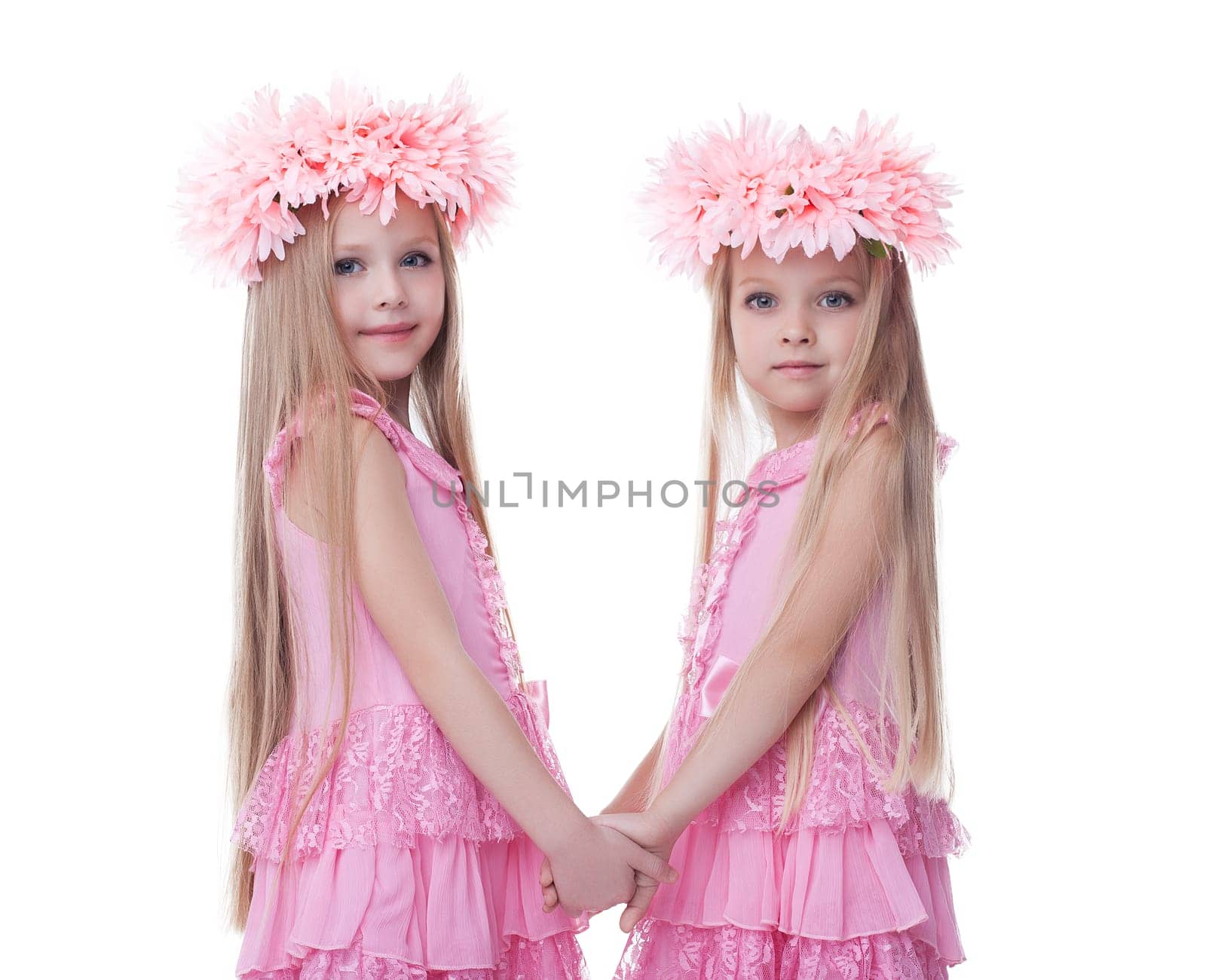 Two beautiful little girls in pink dresses. Isolated on white
