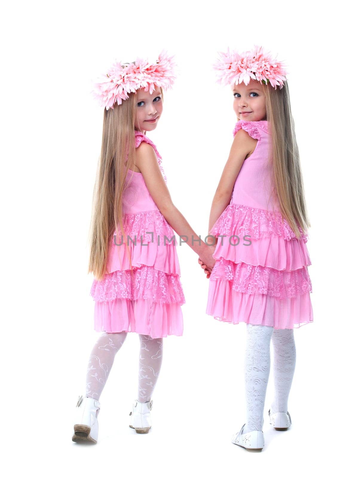 Full length portrait of little girls in pink dresses. Isolated on white