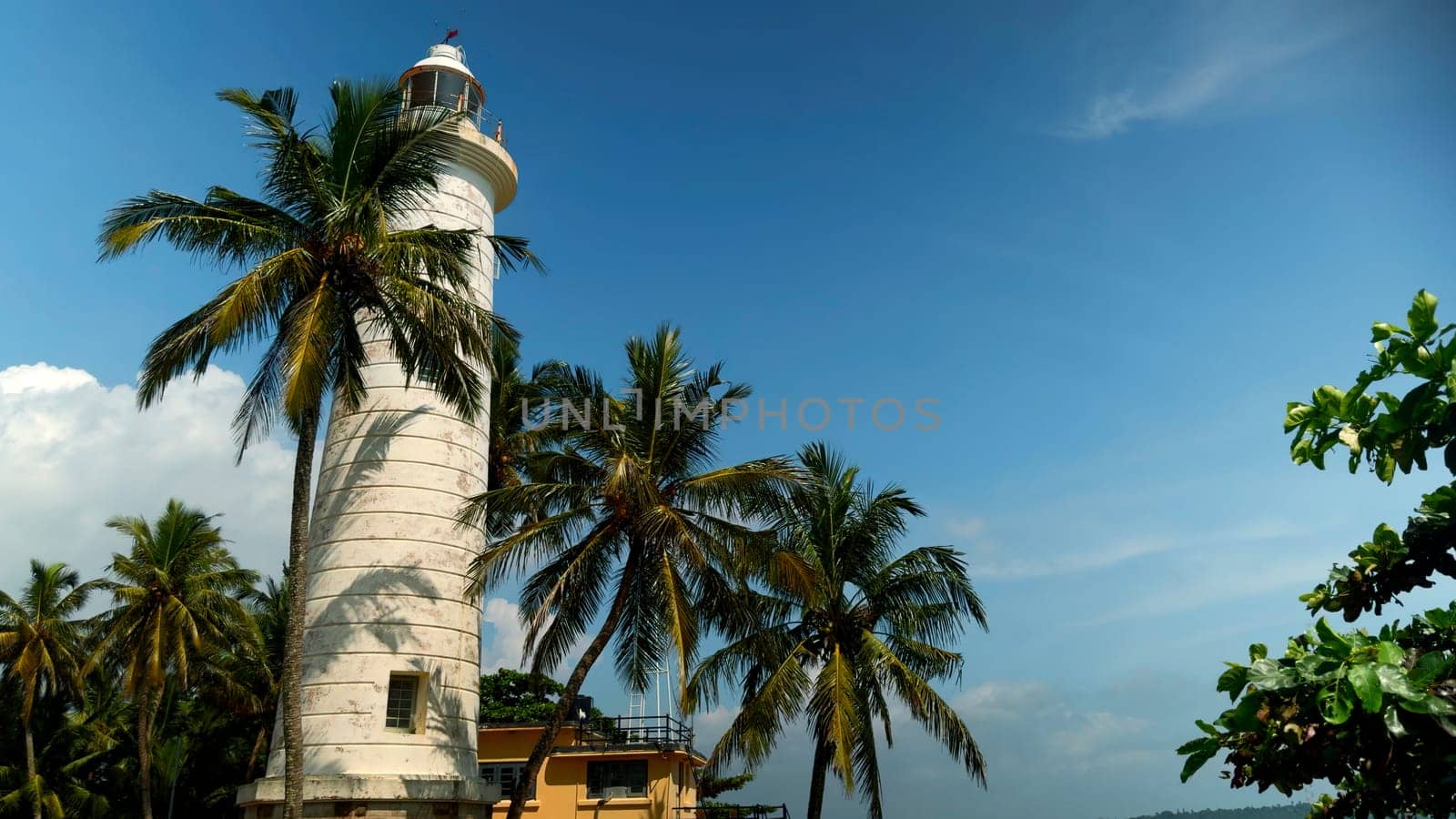 White lighthouse on the coast. Action. Palm trees and beautiful sea shore. by Mediawhalestock