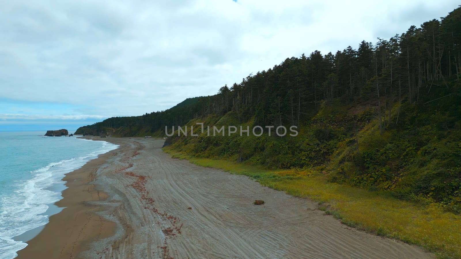 Top view of beautiful coast with dense forest. Clip. Coastline of sea on crest of dense green forest to horizon. Coast of island with dense green forest and mountains.