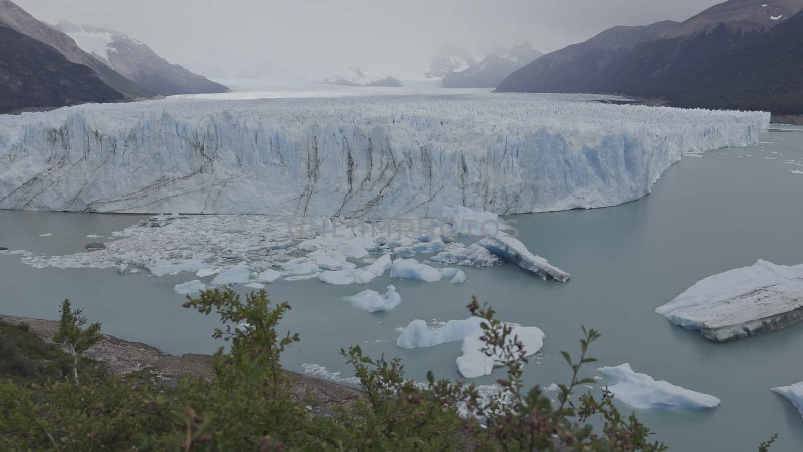 Perito Moreno Glacier Calving with Gentle Tree Branch Movement by FerradalFCG
