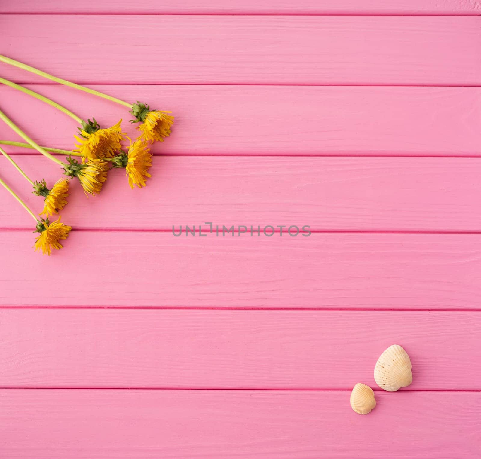 Summer abstract background mockup template free copy space text pattern sample top view above on pink wooden board. blank empty area for inscription. corners flowers borders frames yellow dandelions
