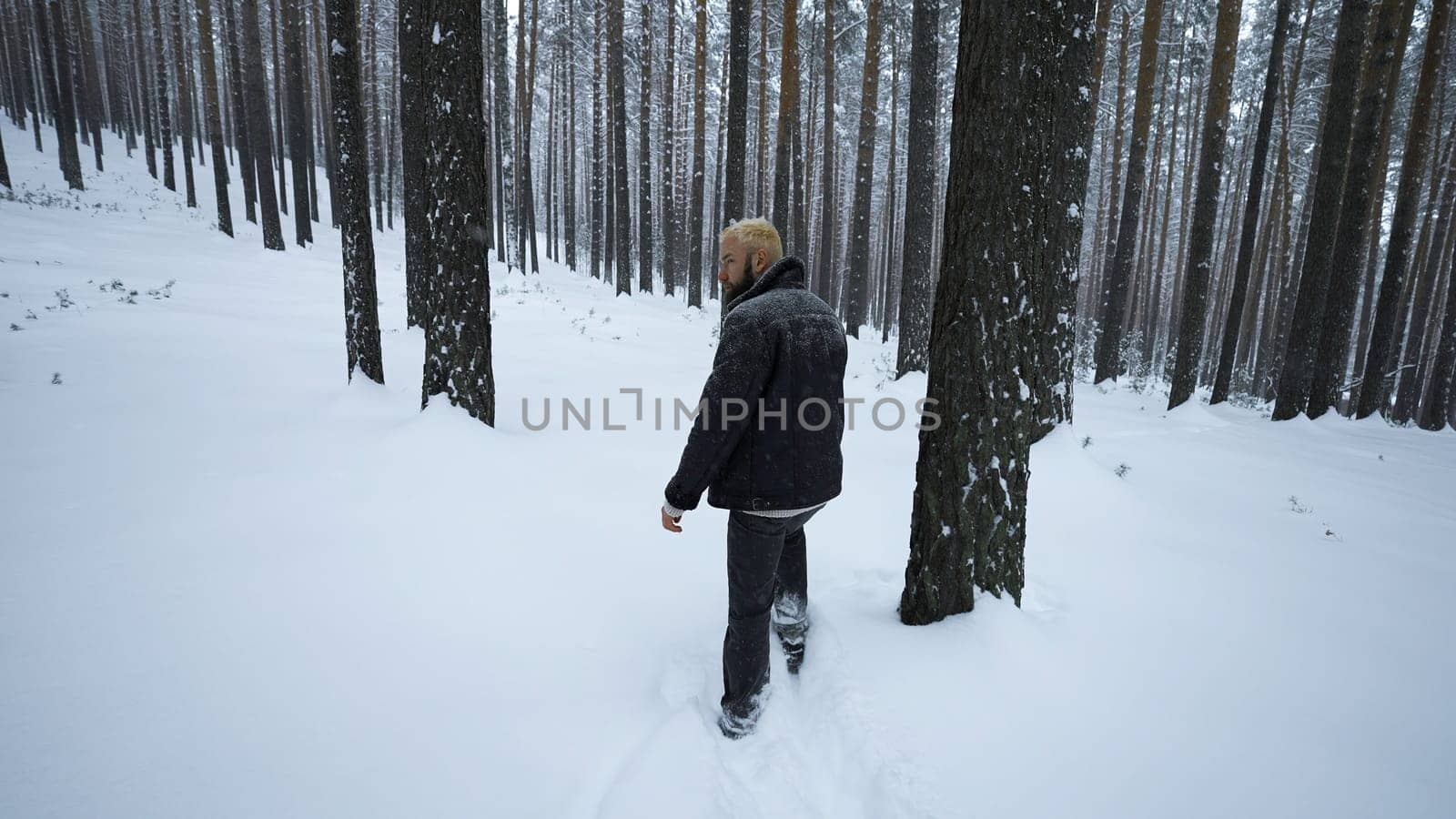 Rear view of stylish man walking in winter. Media. Stylish shooting of man walking in winter forest. Man walks with fashionable gait in winter forest by Mediawhalestock