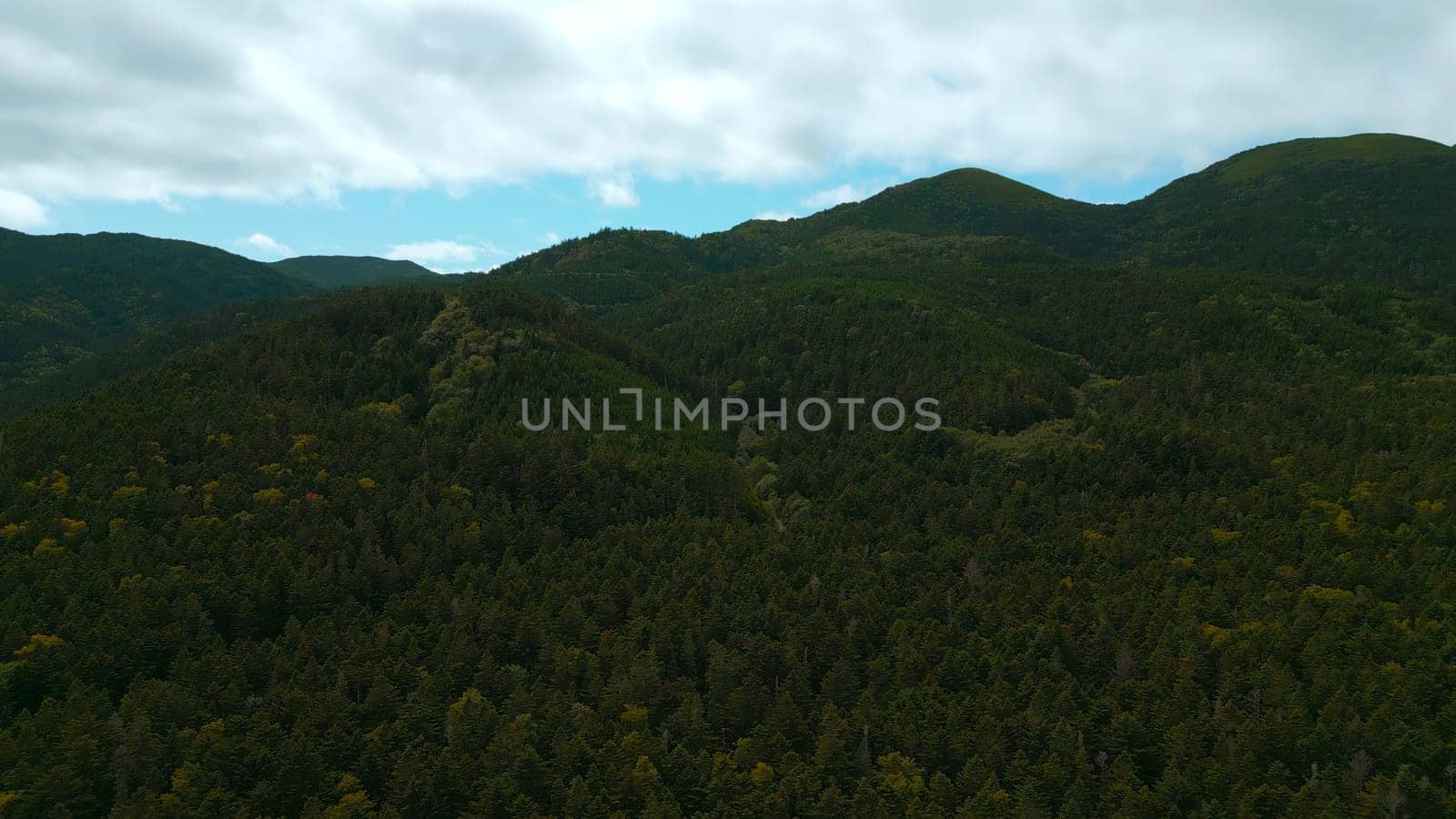 Top view of beautiful mountain landscape with forest green valley. Clip. Dense vegetation of green forest in mountains. Amazing mountains with dense green forest with its own ecosystem.