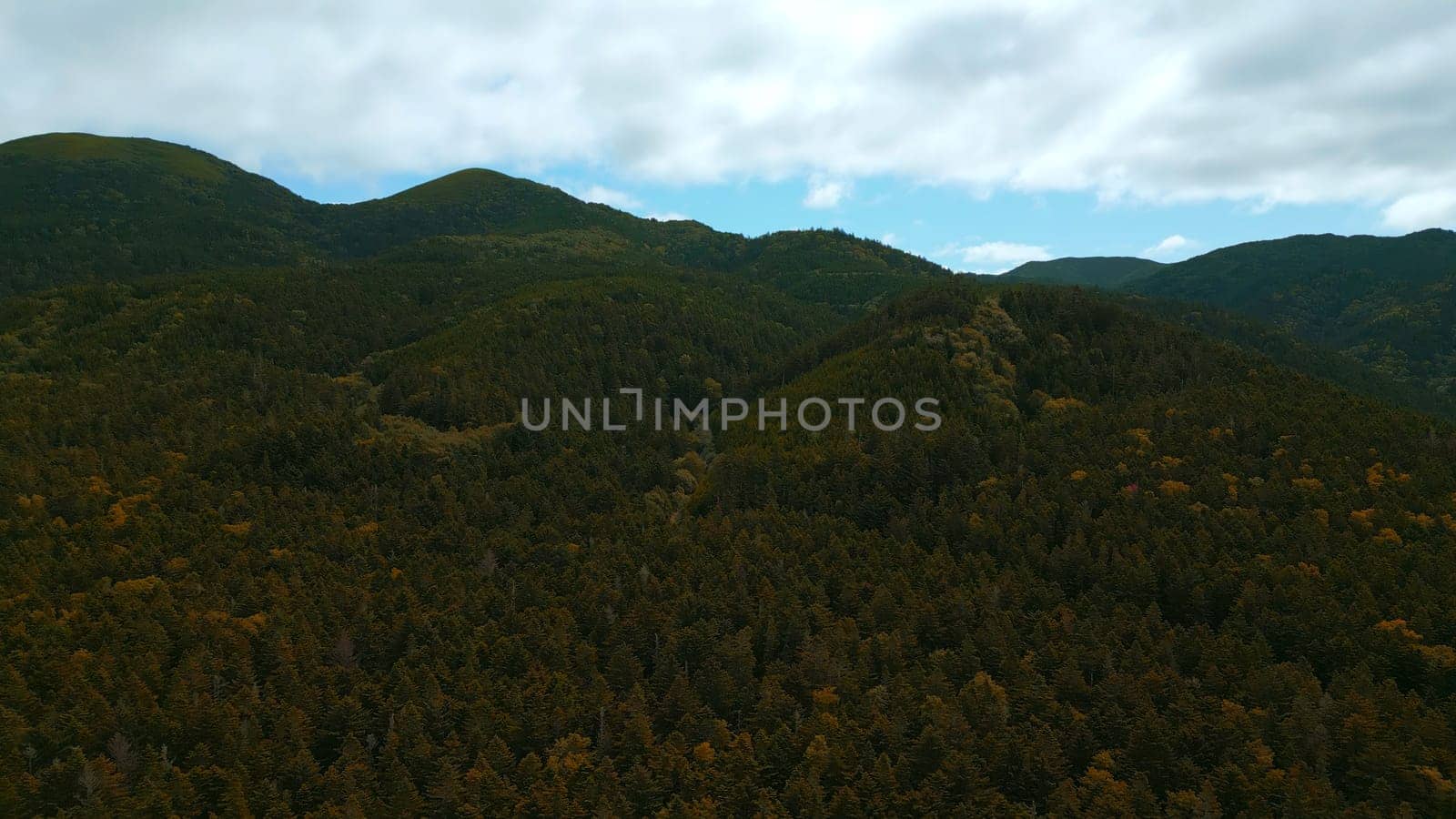 Top view of beautiful mountain landscape with forest green valley. Clip. Dense vegetation of green forest in mountains. Amazing mountains with dense green forest with its own ecosystem.