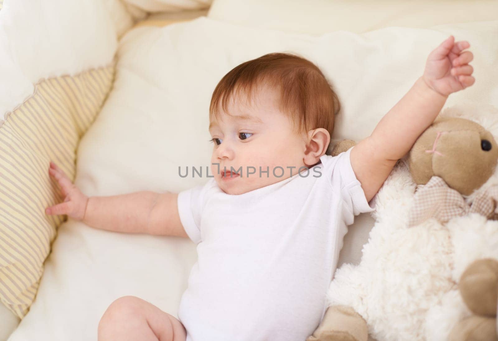 Baby, bedroom and rest with sheep in home, above and healthy with growth, development and playing in morning. Infant, child and newborn with lamb doll, soft toys and relax in nursery at family house by YuriArcurs